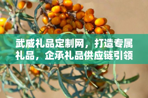 武威礼品定制网，打造专属礼品，企承礼品供应链引领定制潮流
