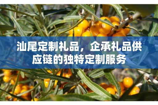 汕尾定制礼品，企承礼品供应链的独特定制服务