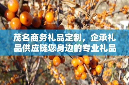 茂名商务礼品定制，企承礼品供应链您身边的专业礼品定制公司